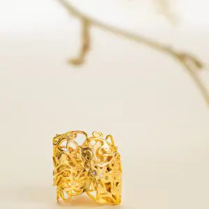 De la Cera a la Plata: Creando tu anillo único